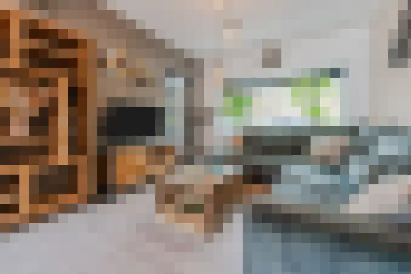 Irisstraat 18 Koog aan de Zaan thumbnail 12