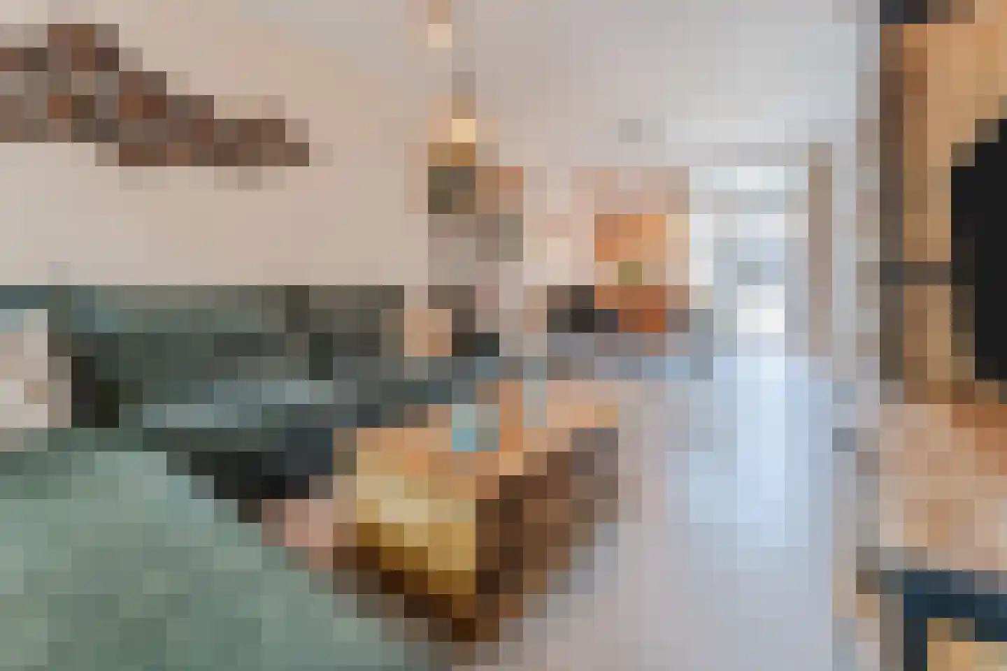 Irisstraat 18 Koog aan de Zaan thumbnail 14