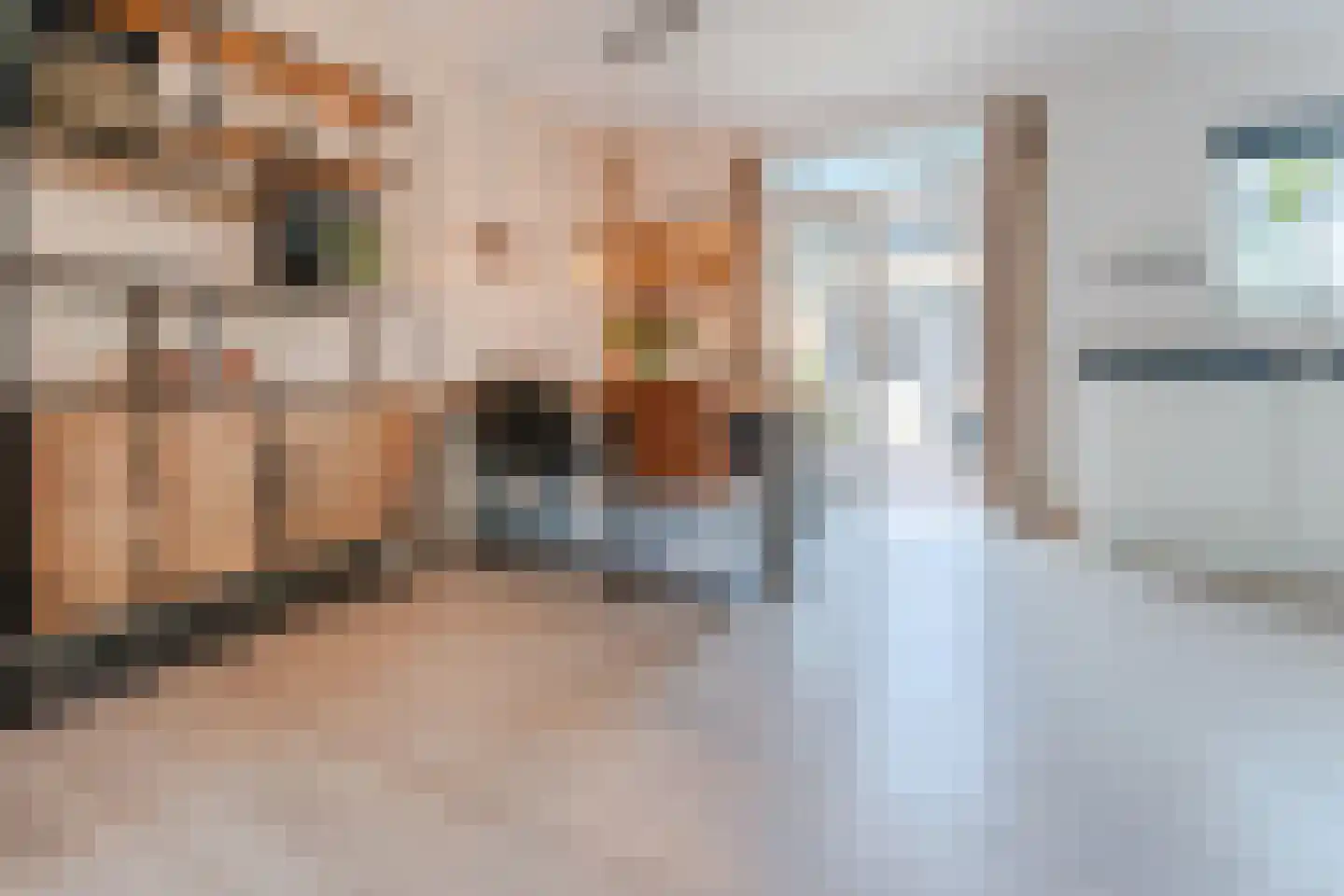 Irisstraat 18 Koog aan de Zaan thumbnail 15