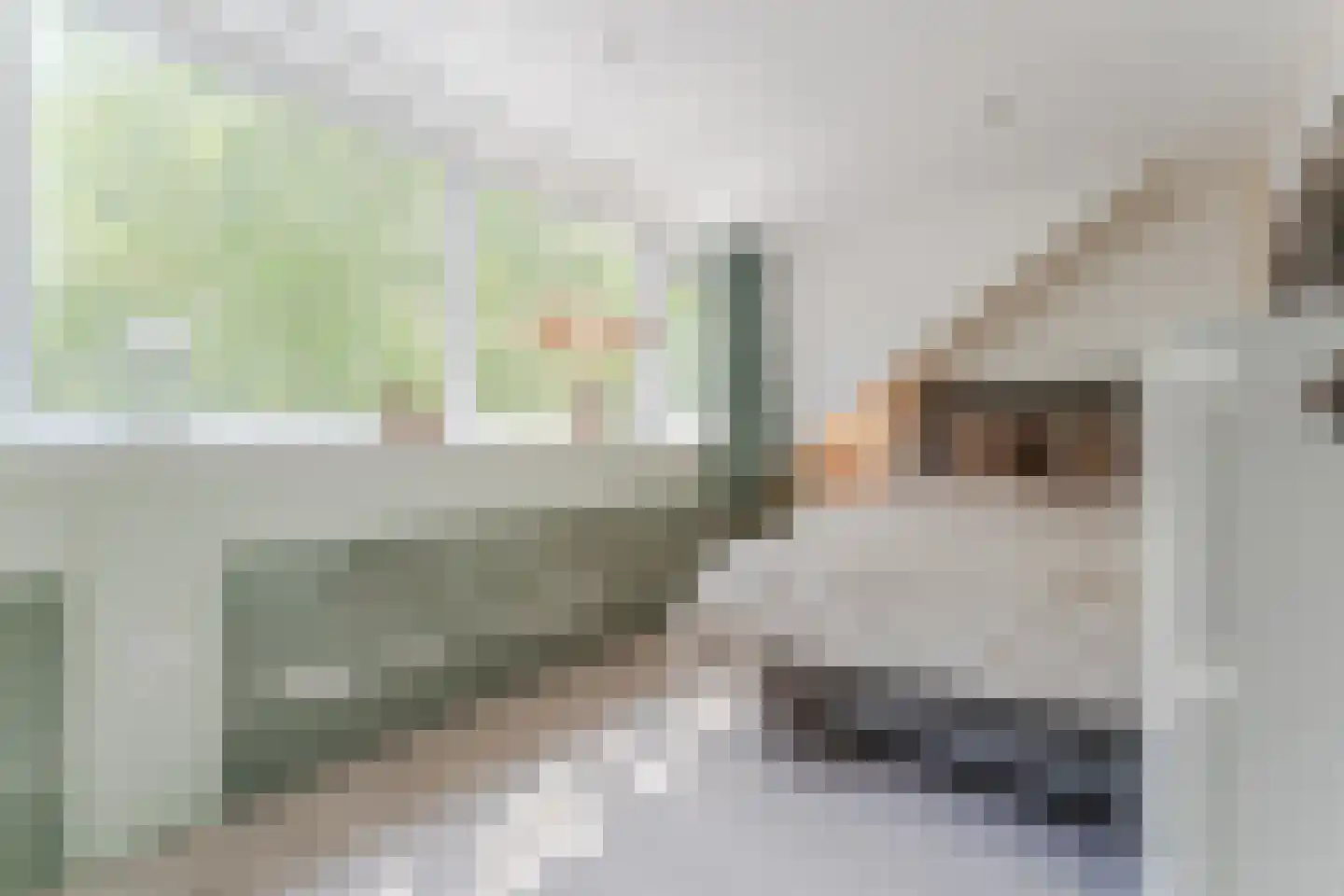 Irisstraat 18 Koog aan de Zaan thumbnail 33