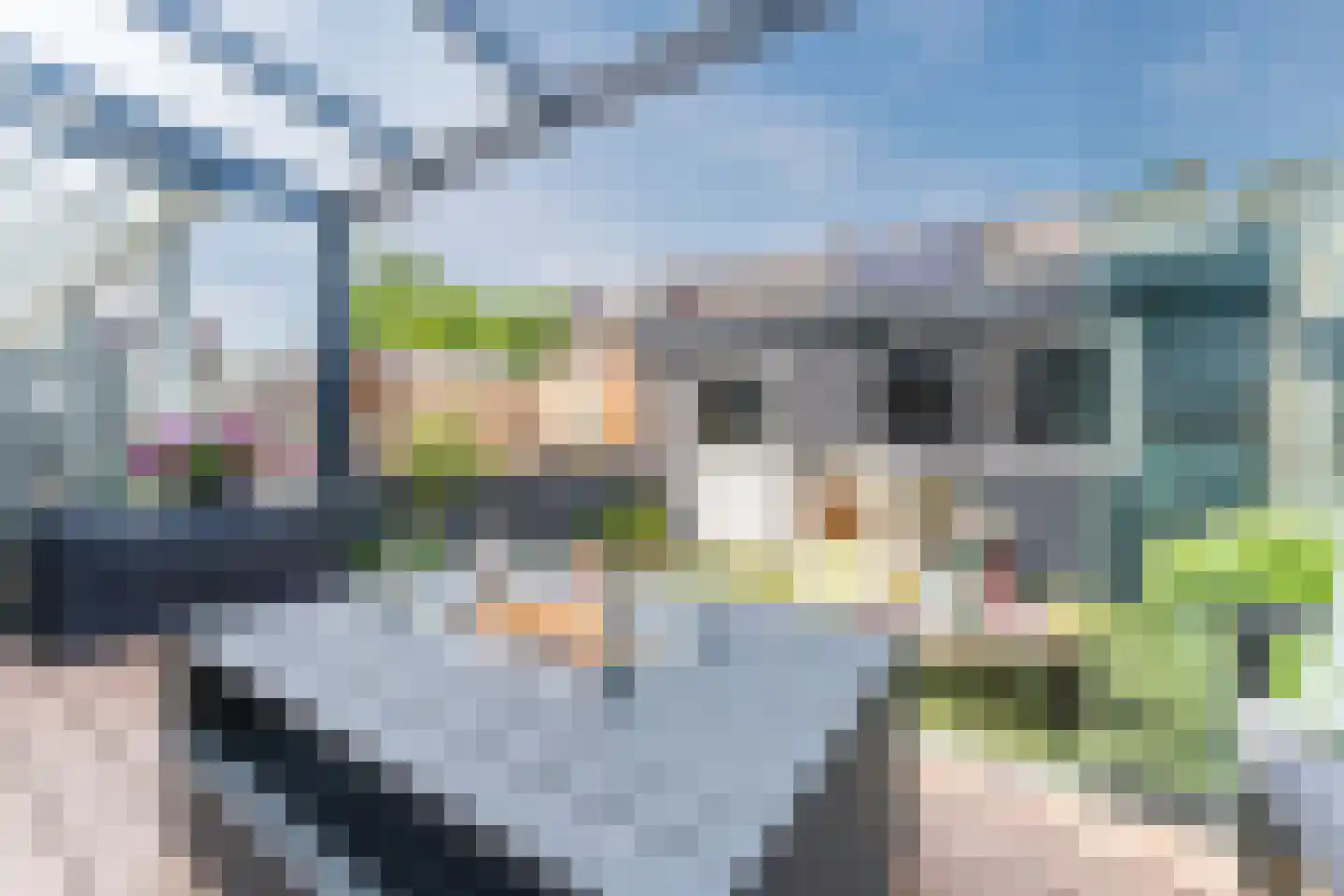 Irisstraat 18 Koog aan de Zaan thumbnail 43