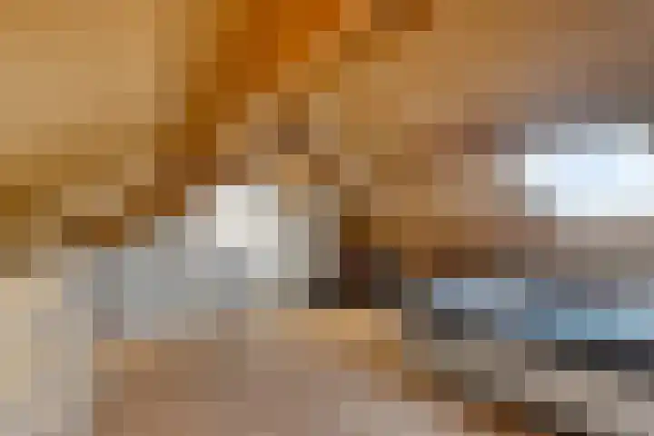 Irisstraat 18 Zuid-Beijerland thumbnail 30
