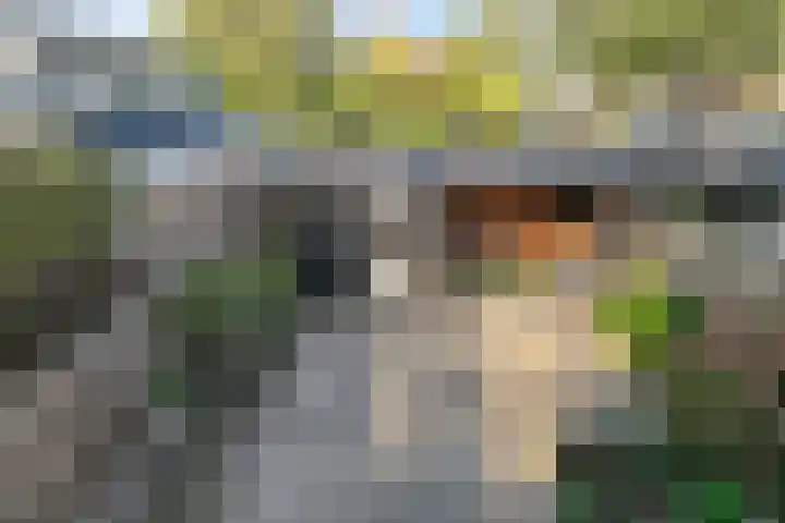 Irisstraat 18 Zuid-Beijerland thumbnail 31