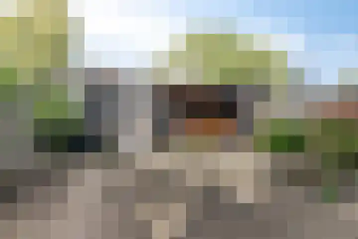 Irisstraat 18 Zuid-Beijerland thumbnail 32
