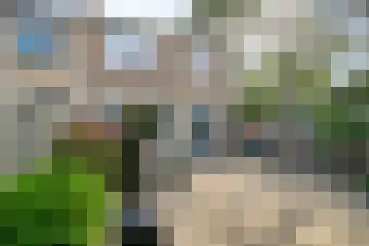 Irisstraat 18 Zuid-Beijerland thumbnail 35