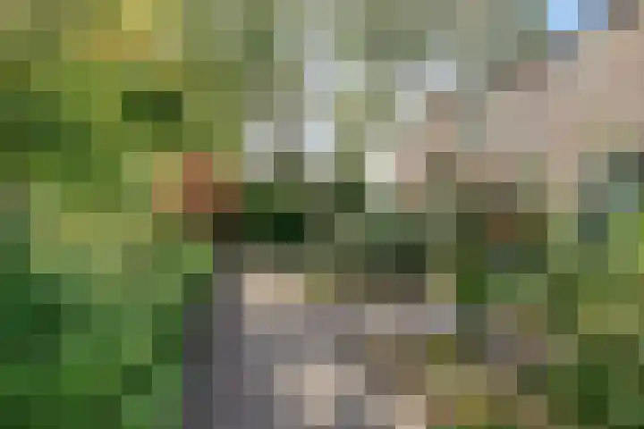 Irisstraat 18 Zuid-Beijerland thumbnail 37