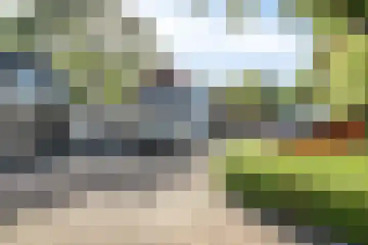 Irisstraat 18 Zuid-Beijerland thumbnail 38