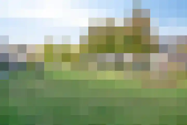Irisstraat 18 Zuid-Beijerland thumbnail 39