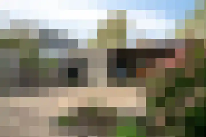 Irisstraat 18 Zuid-Beijerland thumbnail 4