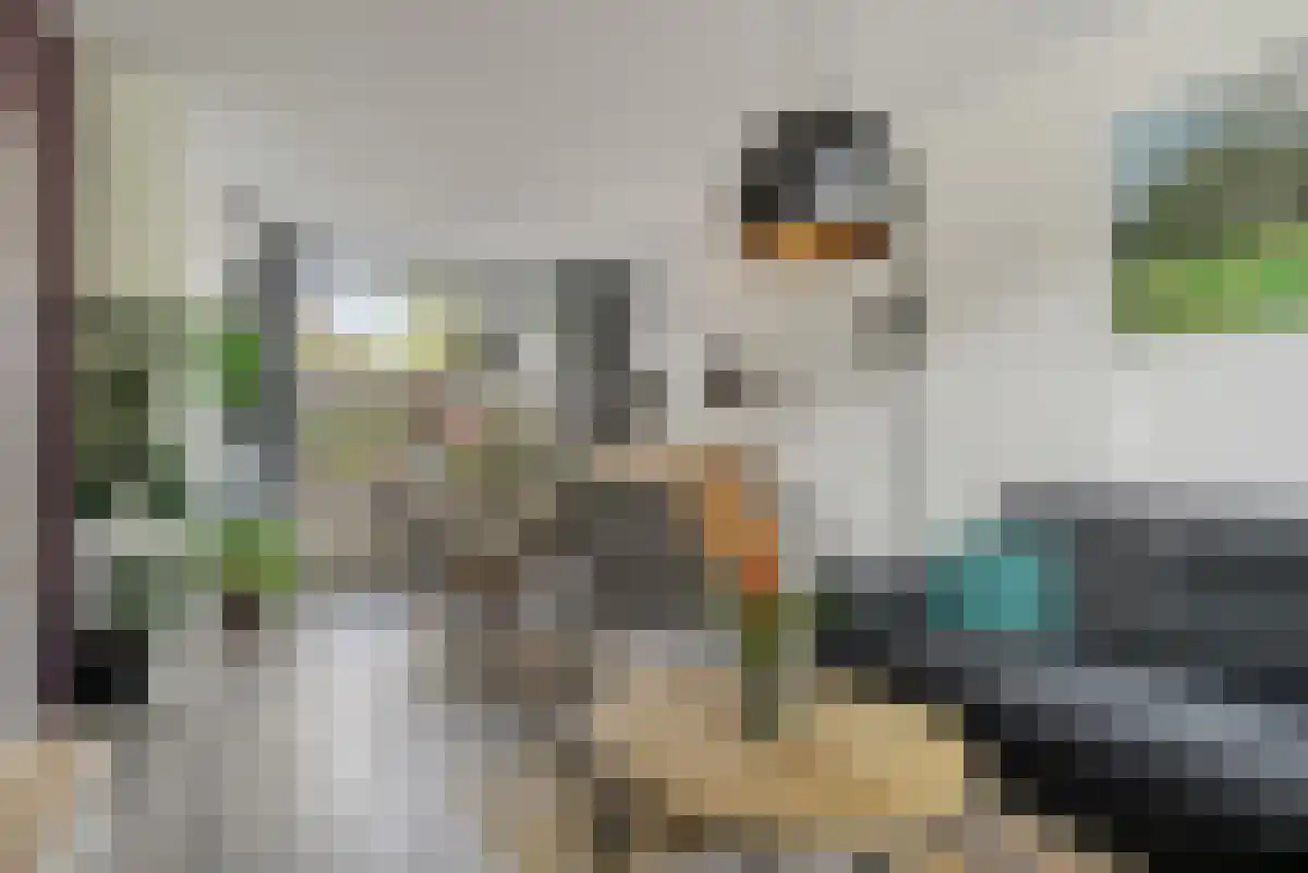 Irisstraat 18 Zuid-Beijerland thumbnail 5