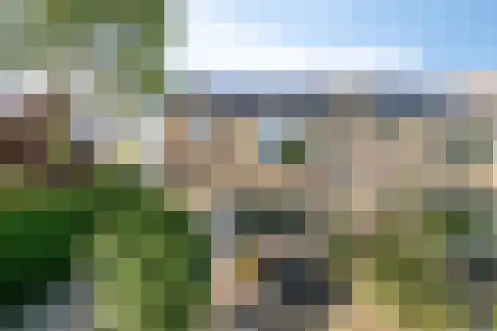 Irisstraat 18 Zuid-Beijerland thumbnail 5