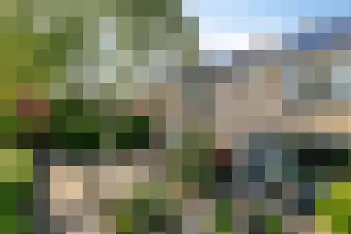 Irisstraat 18 Zuid-Beijerland thumbnail 6