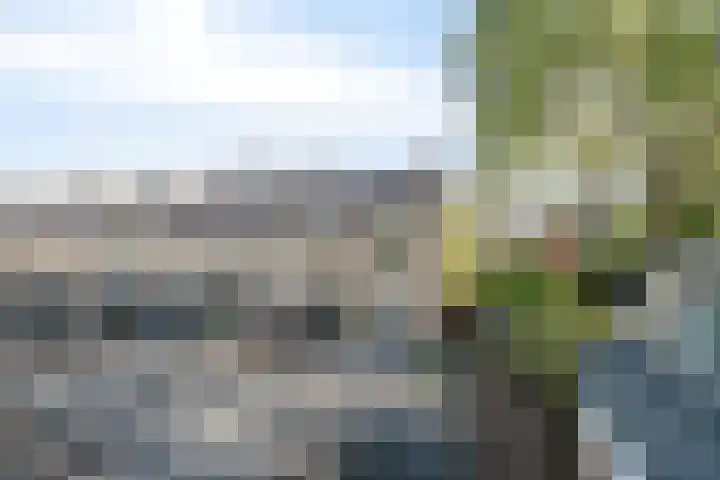 Irisstraat 18 Zuid-Beijerland thumbnail 8