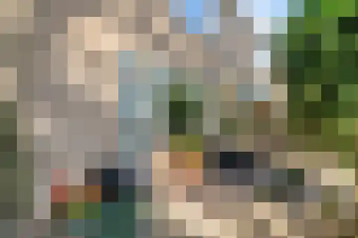 Irisstraat 18 Zuid-Beijerland thumbnail 9
