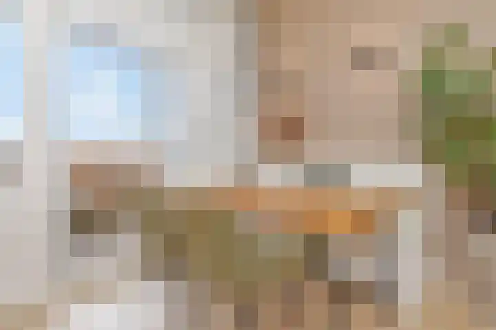 Irisstraat 185 Den Haag