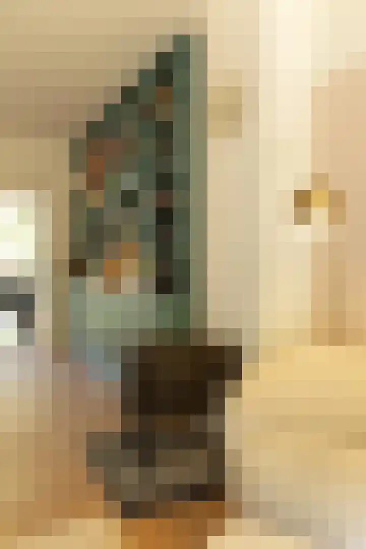 Irisstraat 19 Hilversum thumbnail 11