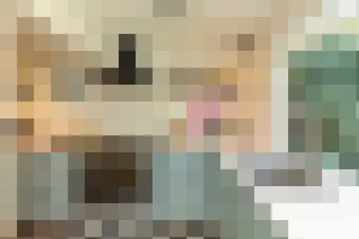 Irisstraat 19 Hilversum thumbnail 17