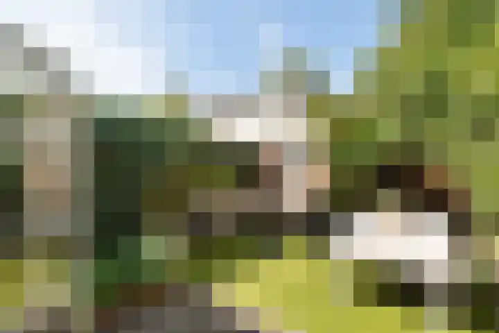 Irisstraat 19 Hilversum thumbnail 30