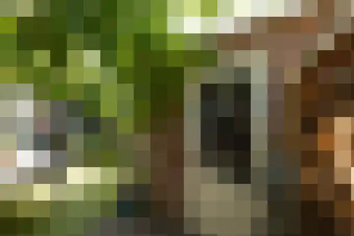 Irisstraat 19 Hilversum thumbnail 32