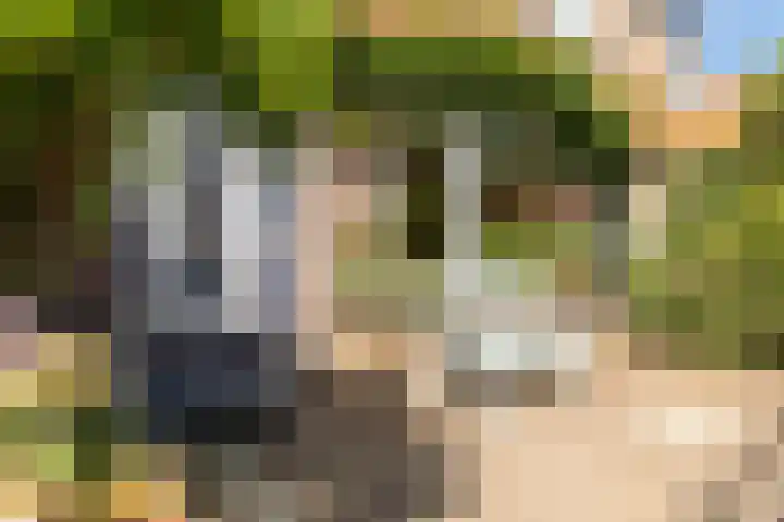 Irisstraat 19 Hilversum thumbnail 5
