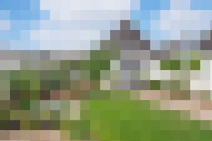 Irisstraat 2 Sint-Oedenrode thumbnail 4