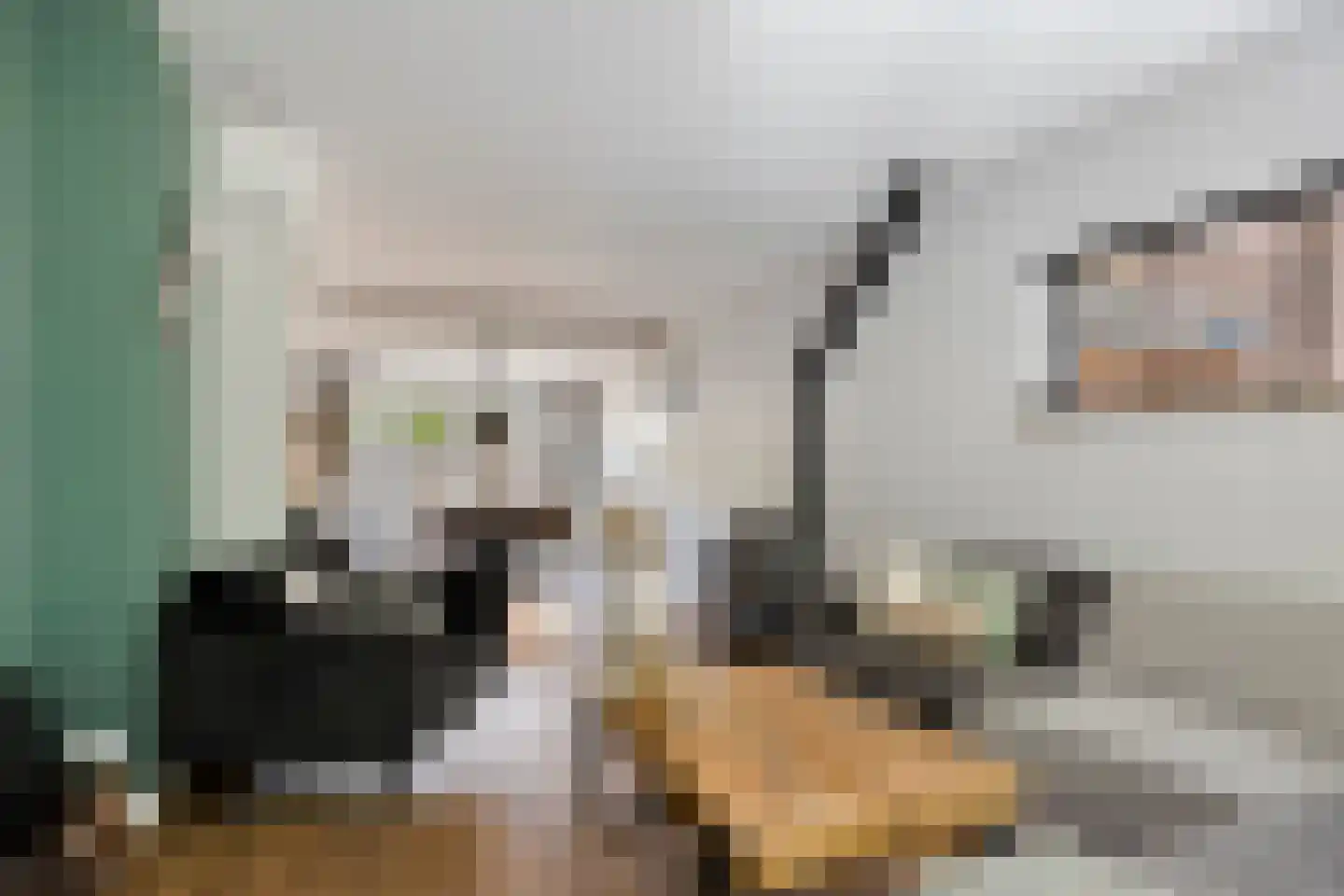Irisstraat 22 Heteren thumbnail 16