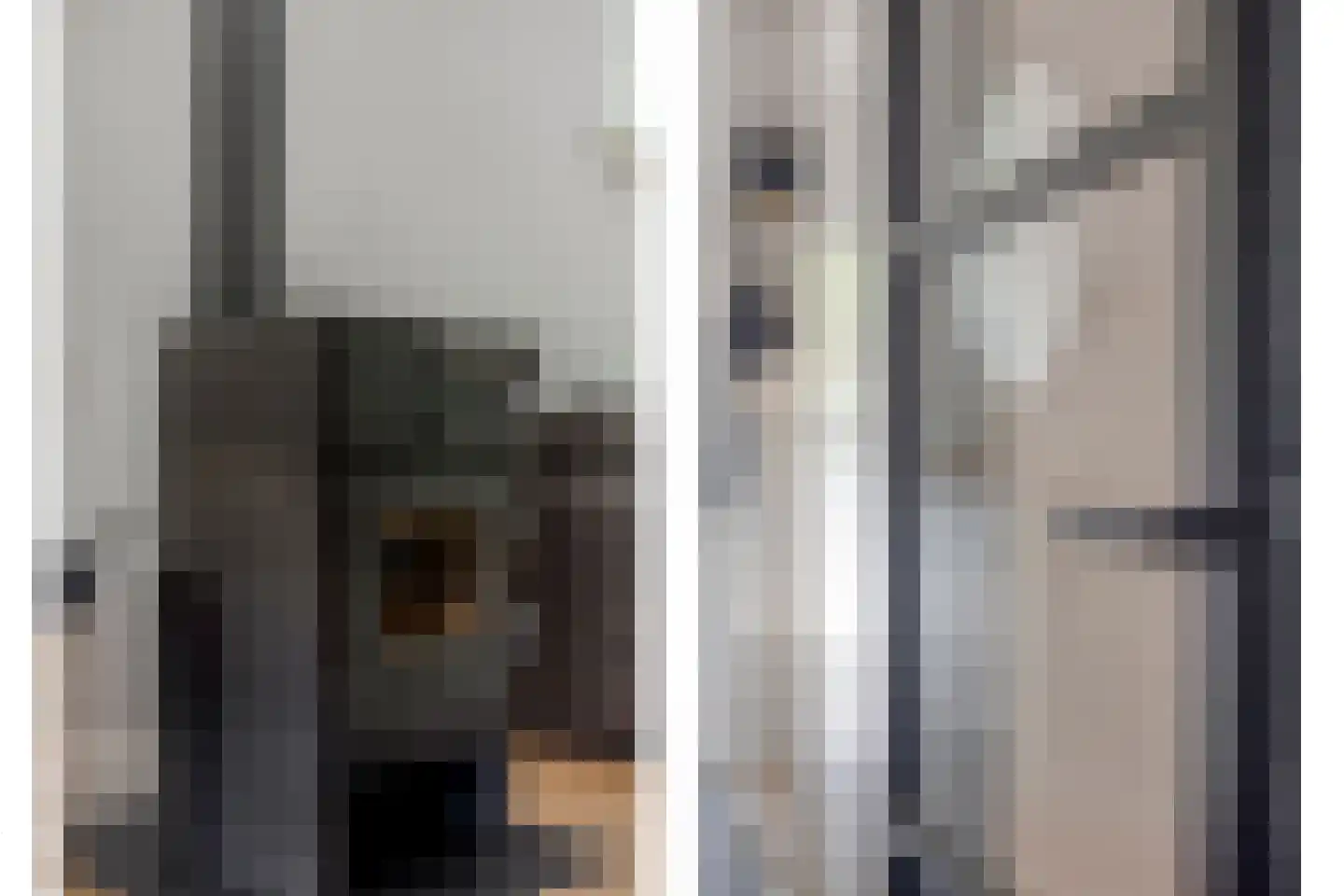 Irisstraat 22 Heteren thumbnail 17