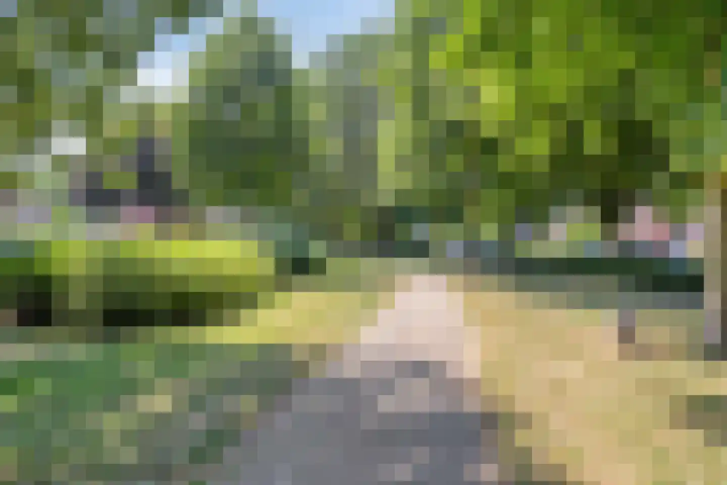 Irisstraat 22 Heteren thumbnail 38