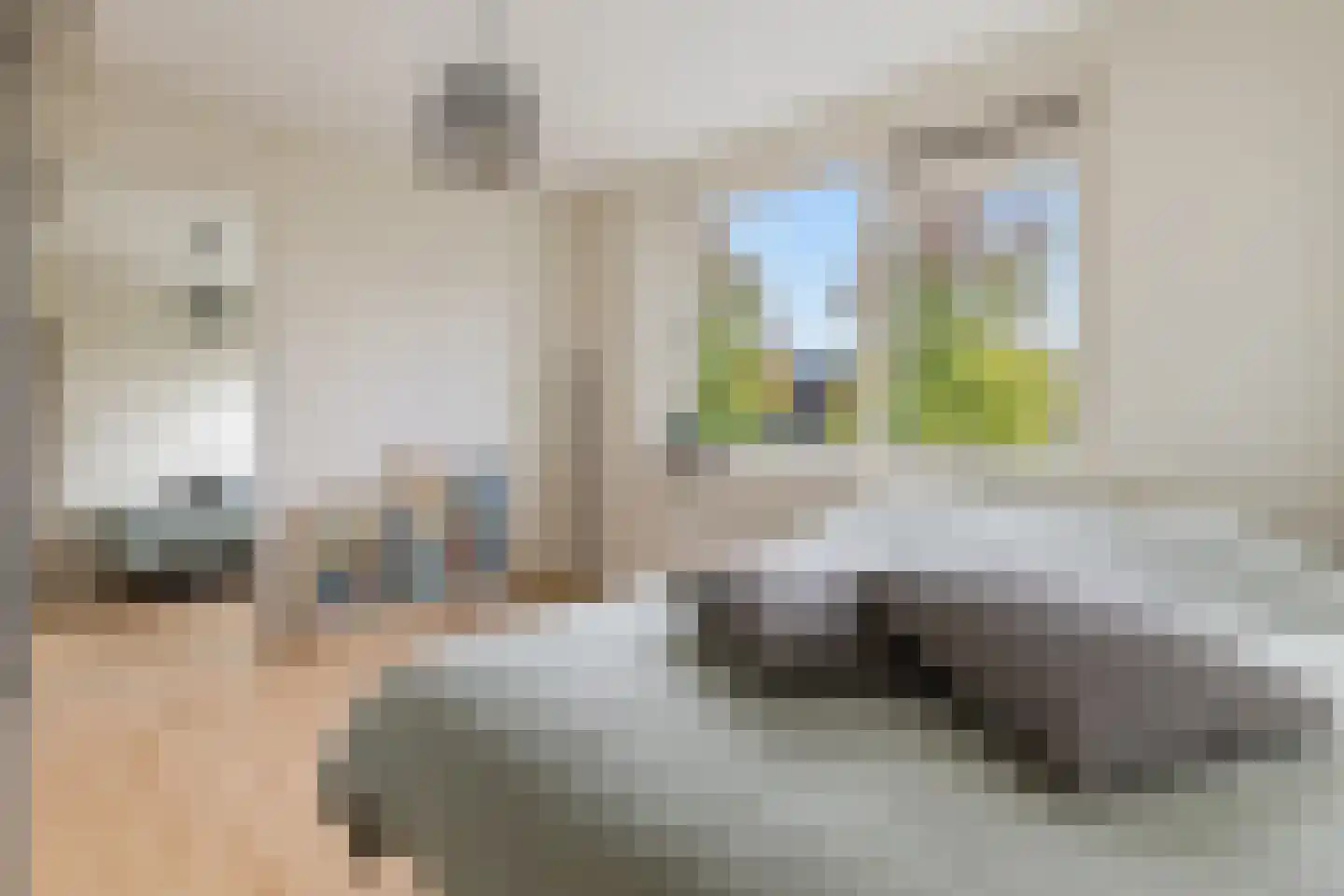 Irisstraat 22 Zuid-Beijerland thumbnail 17