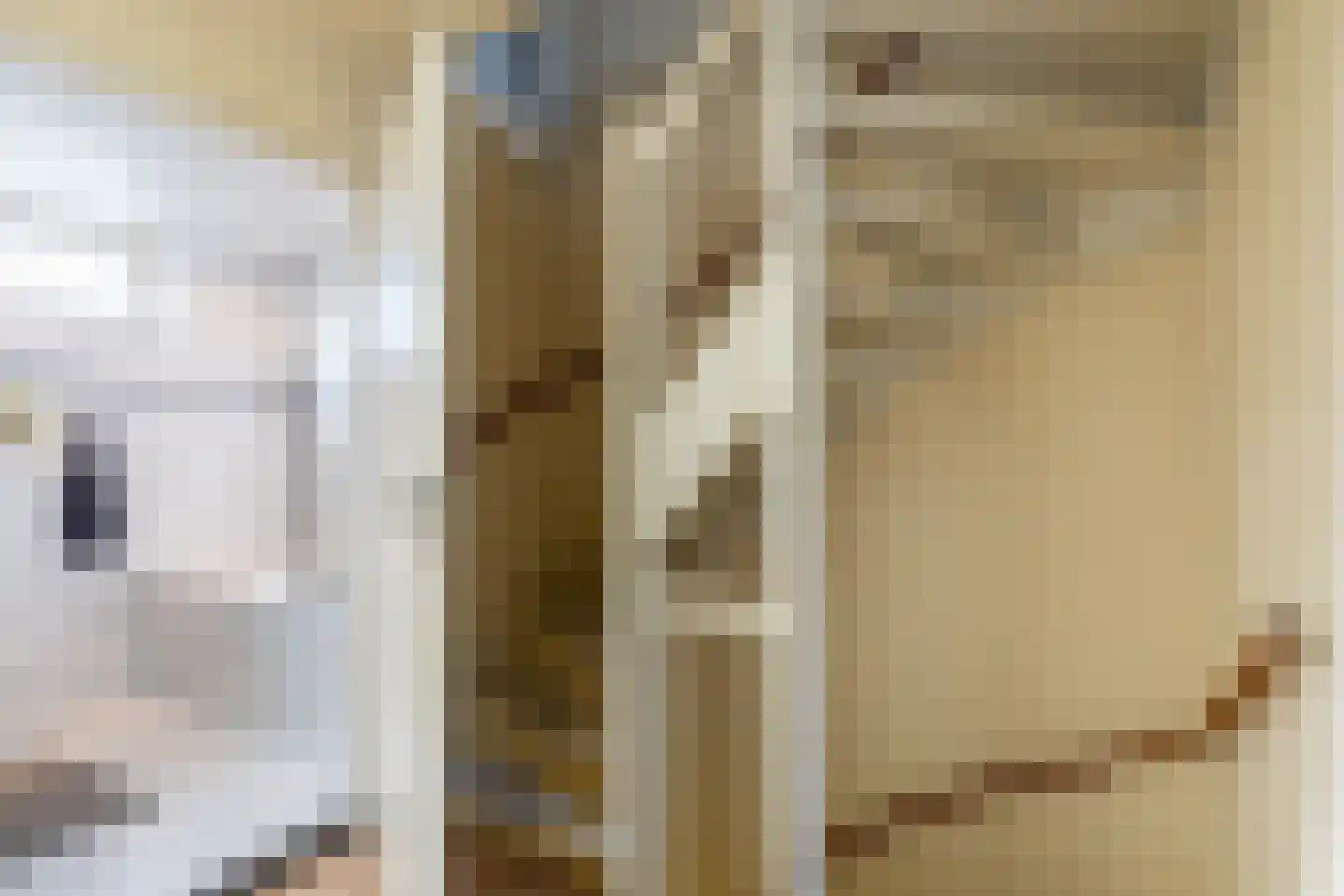 Irisstraat 22 Zuid-Beijerland thumbnail 20
