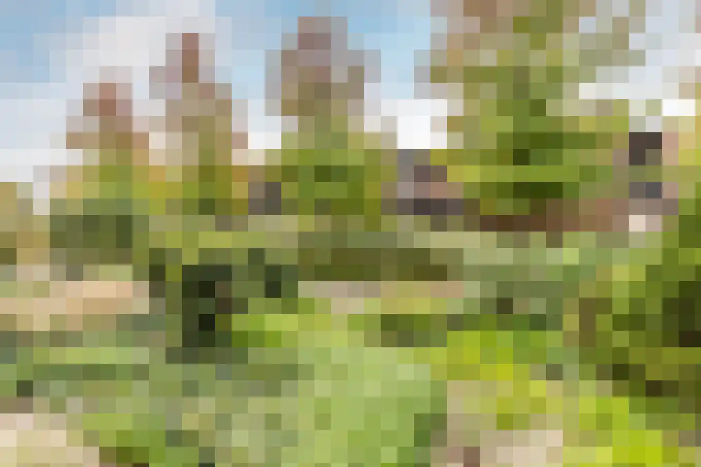 Irisstraat 22 Zuid-Beijerland thumbnail 26