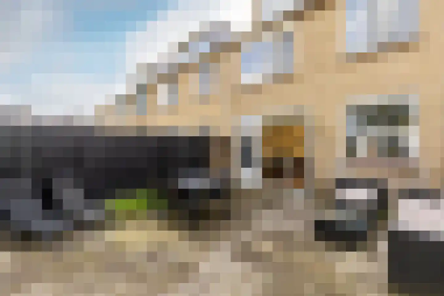 Irisstraat 22 Zuid-Beijerland thumbnail 29