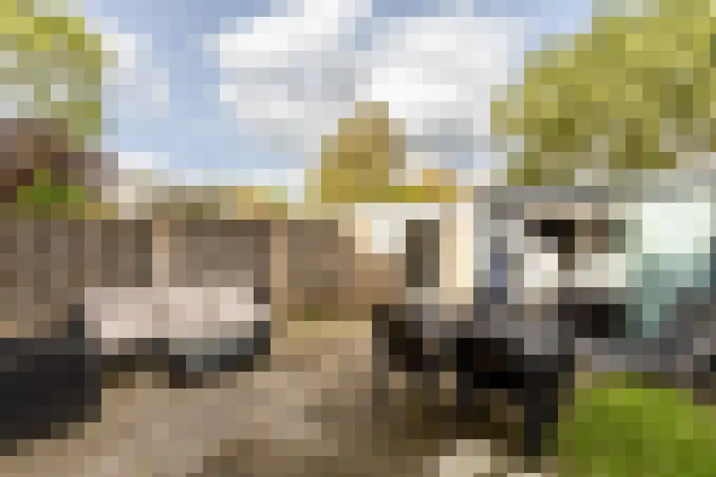 Irisstraat 22 Zuid-Beijerland thumbnail 30