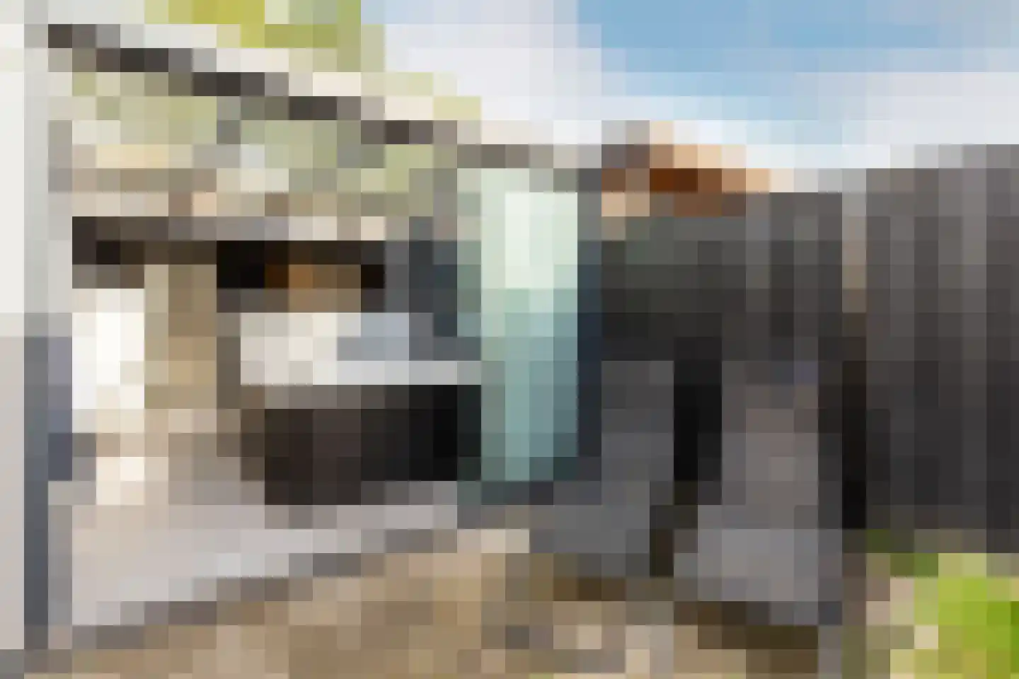 Irisstraat 22 Zuid-Beijerland thumbnail 31