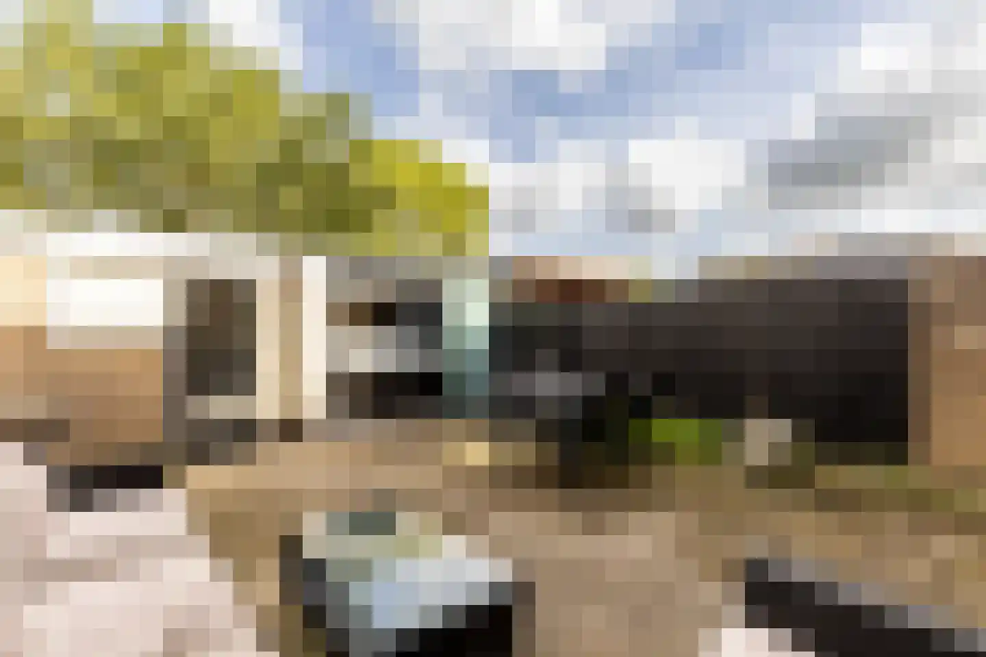 Irisstraat 22 Zuid-Beijerland thumbnail 4