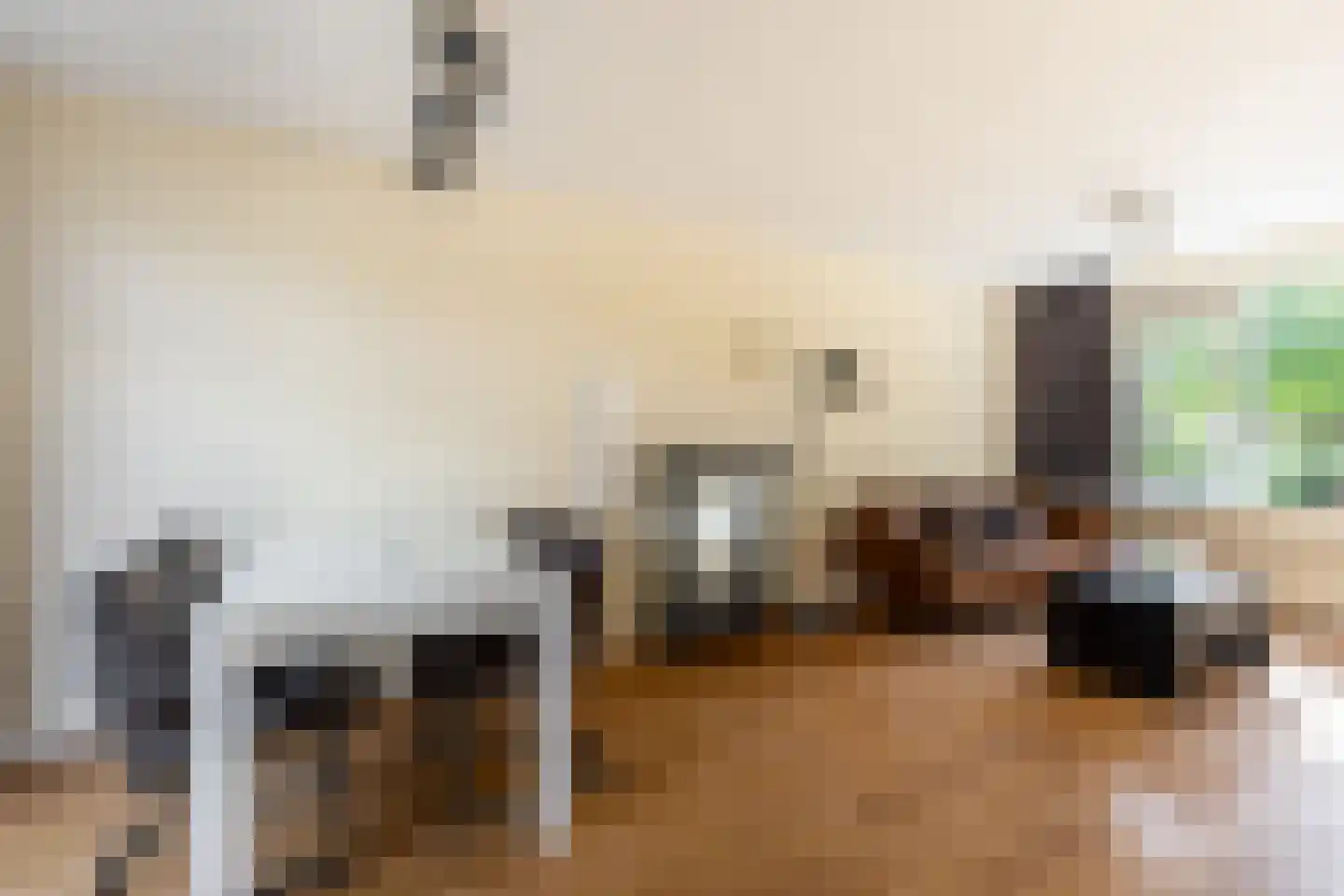 Irisstraat 22 Zuid-Beijerland thumbnail 8