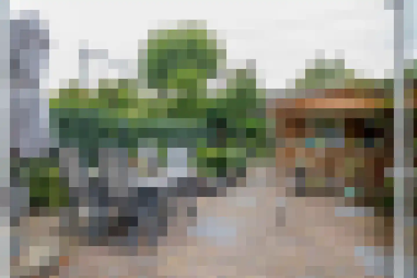 Irisstraat 25 Haarlem thumbnail 25