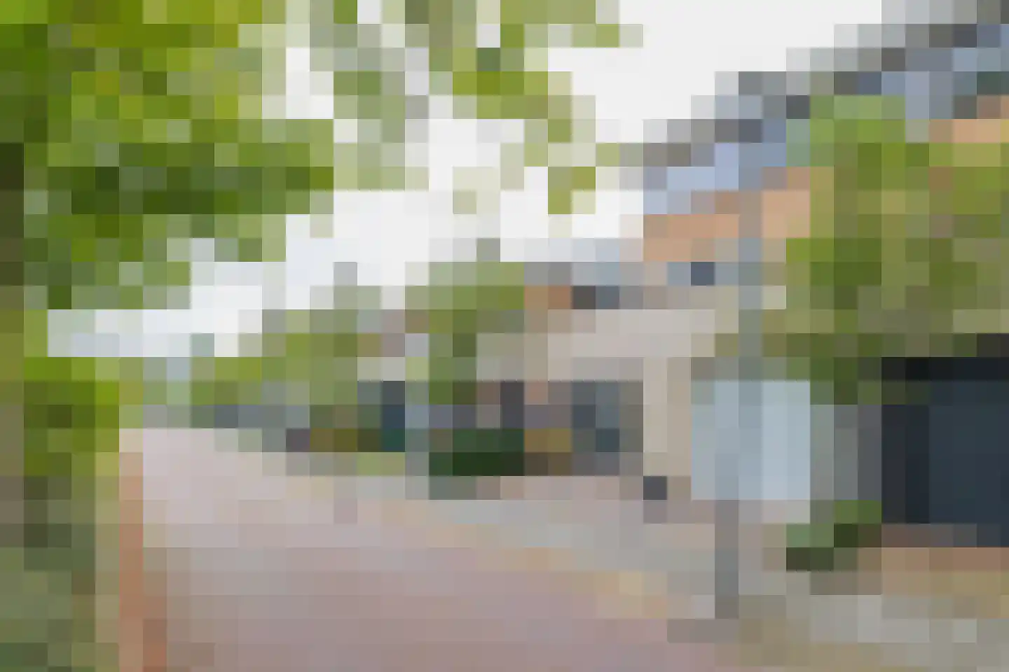 Irisstraat 25 Haarlem thumbnail 4
