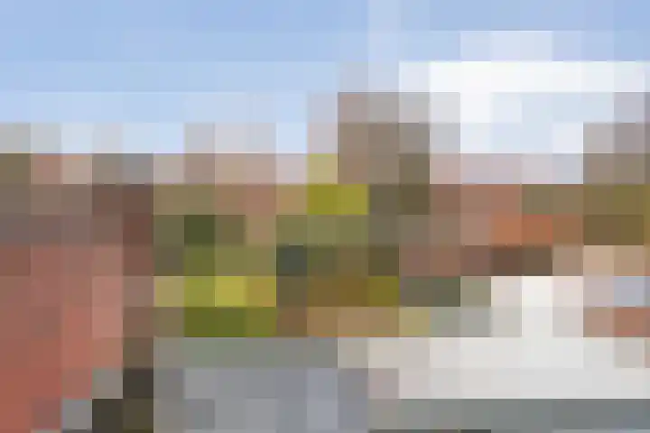 Irisstraat 26 Hengelo thumbnail 22