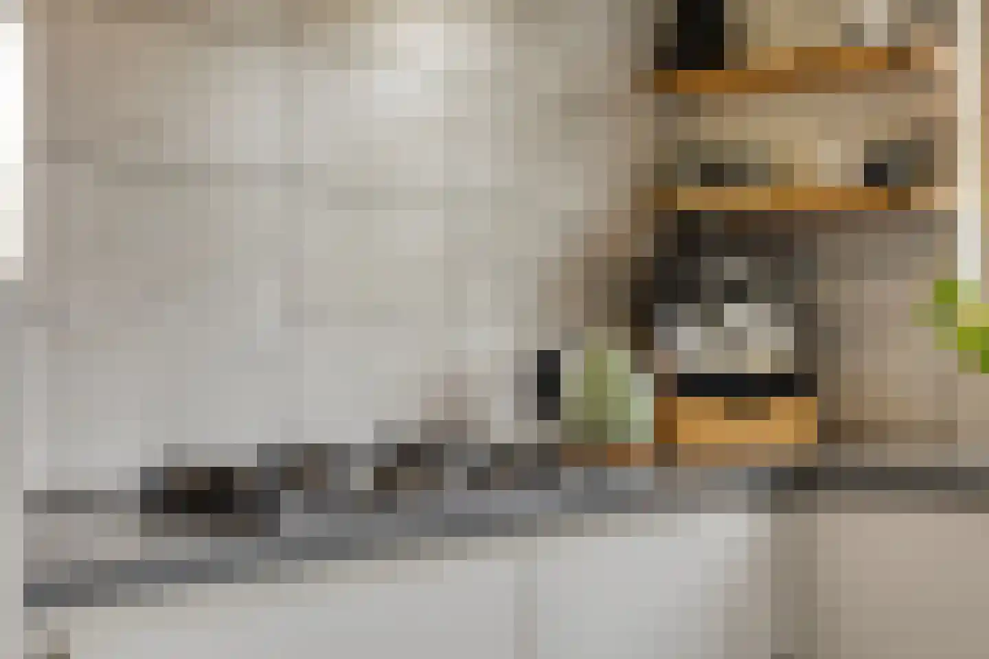 Irisstraat 26 Hoek thumbnail 18