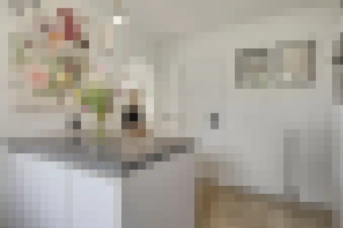 Irisstraat 26 Hoek thumbnail 21