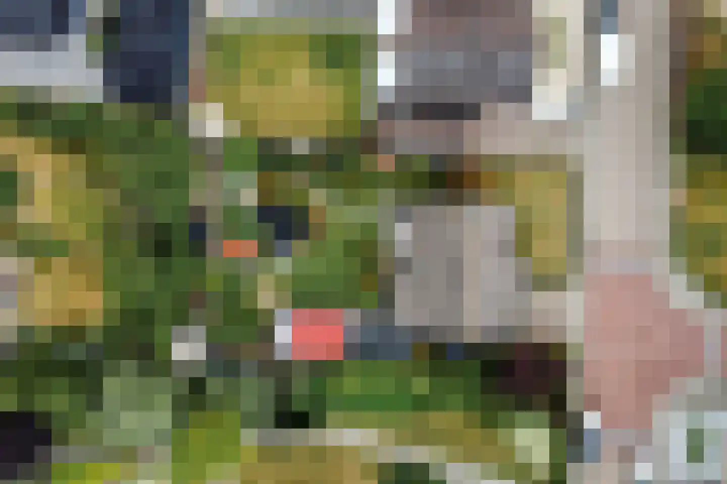 Irisstraat 26 Hoek thumbnail 36