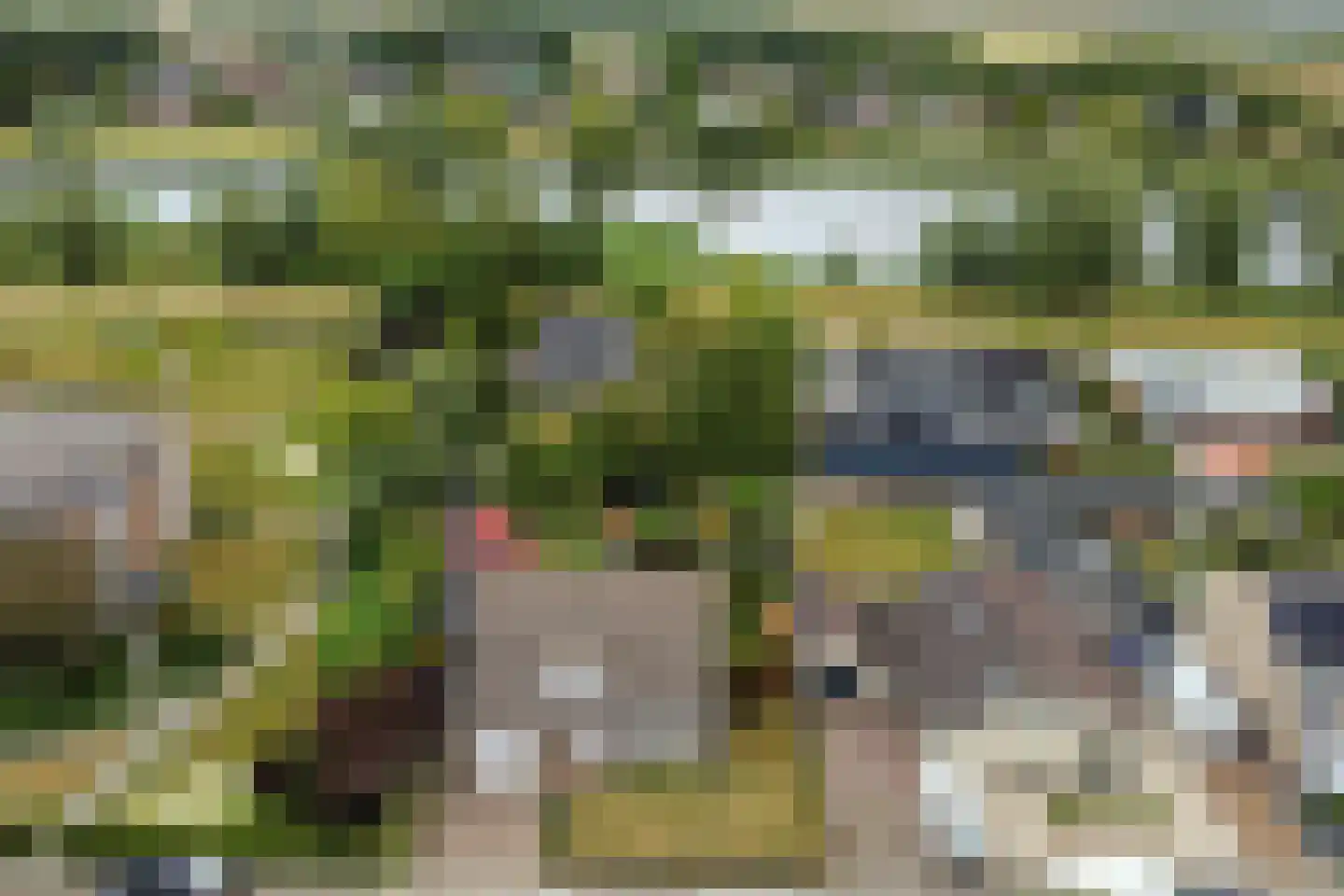 Irisstraat 26 Hoek thumbnail 4