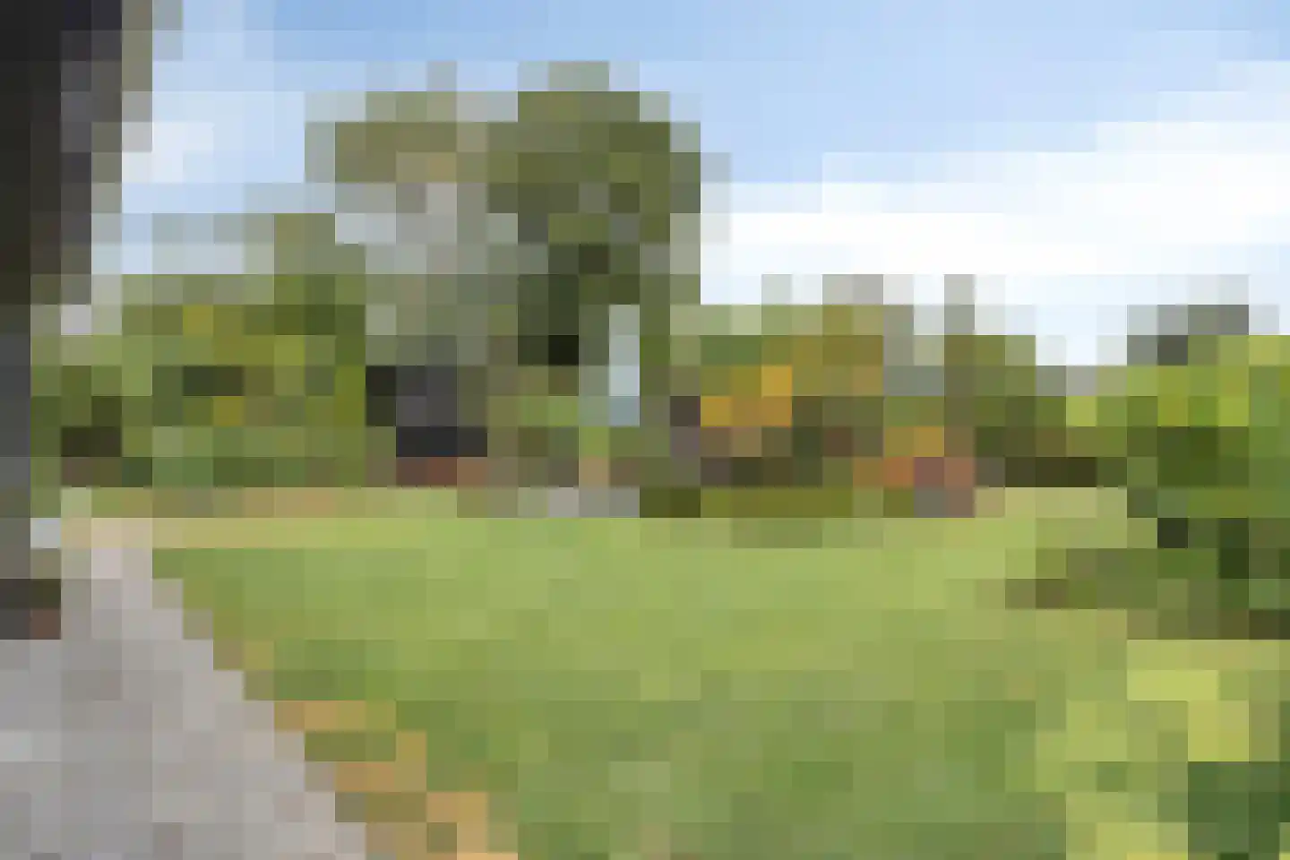 Irisstraat 26 Hoek thumbnail 41