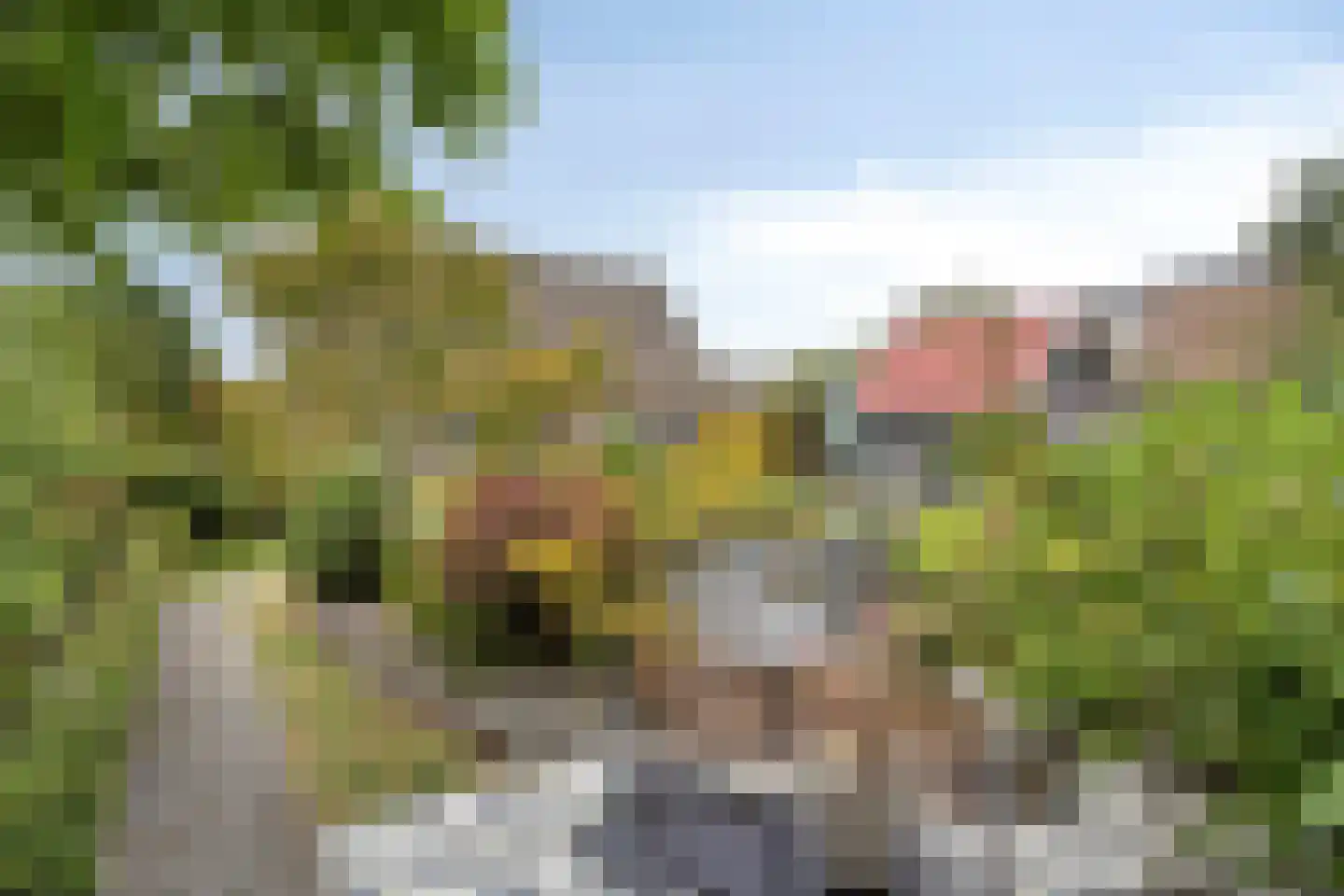 Irisstraat 26 Hoek thumbnail 46