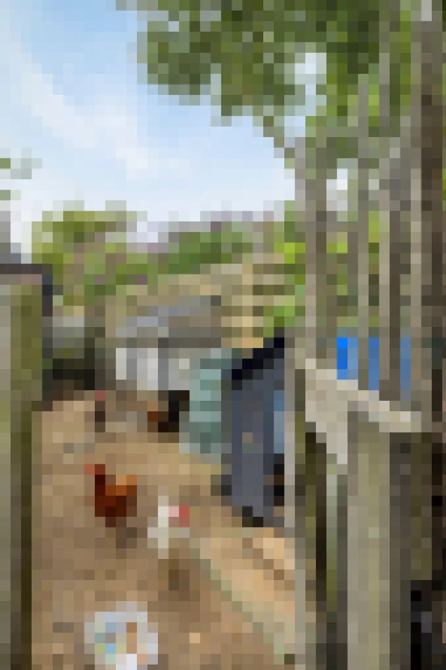Irisstraat 26 Hoek thumbnail 47