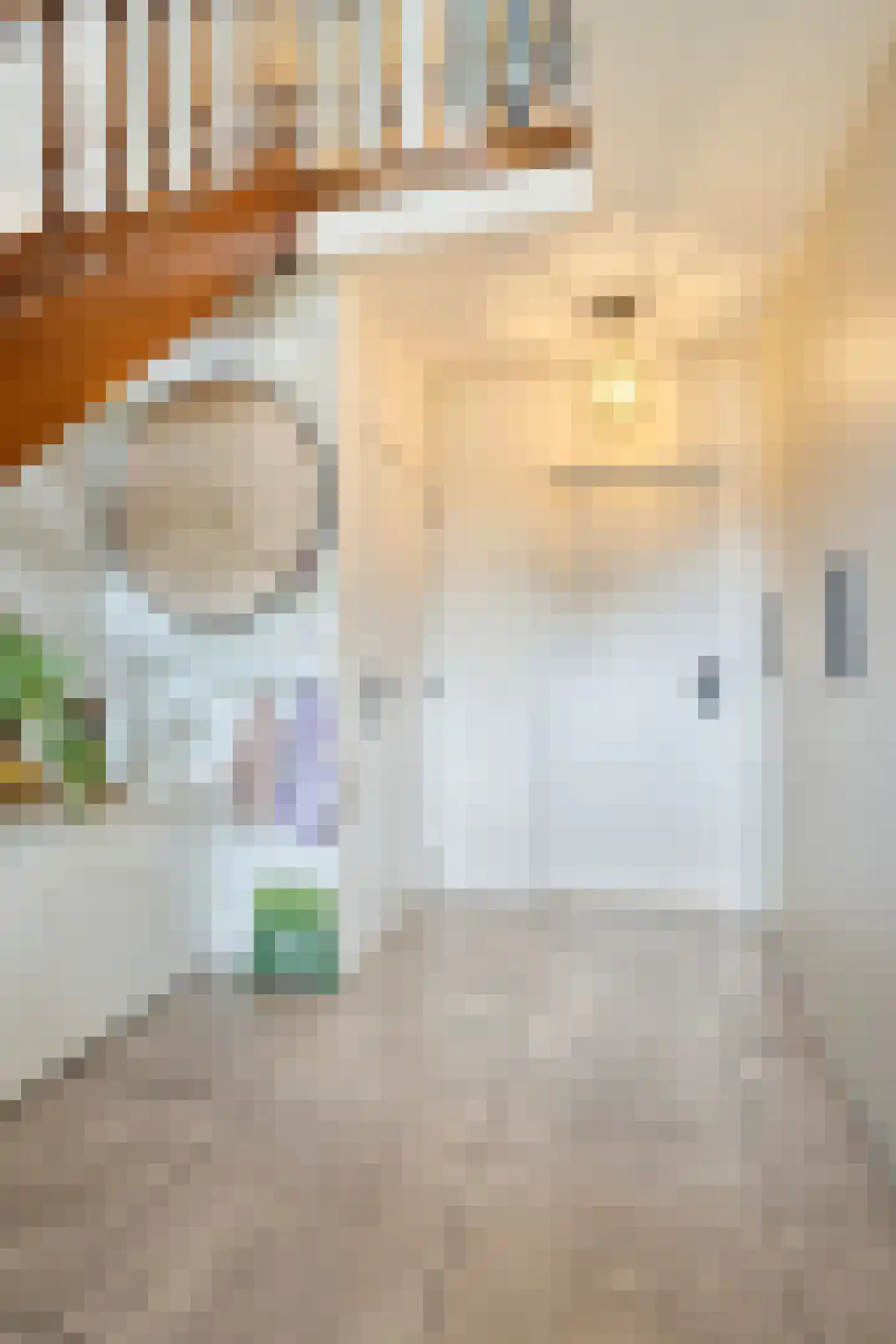 Irisstraat 26 Hoek thumbnail 8