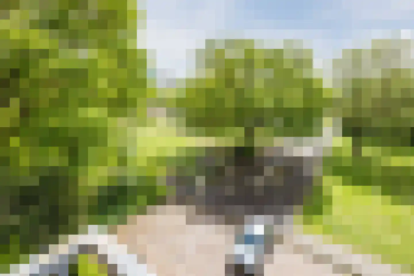 Irisstraat 29 Hoogeveen thumbnail 4