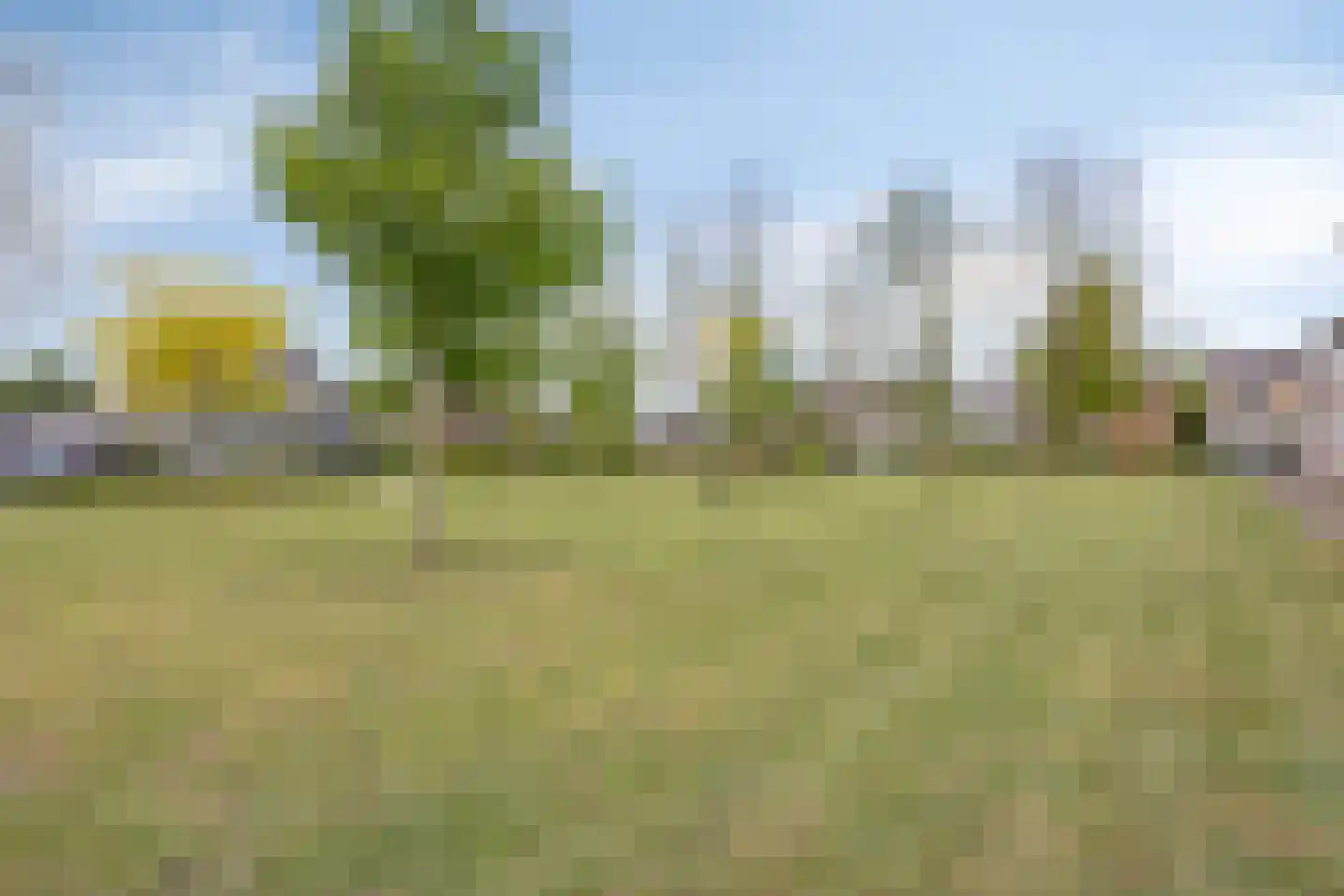 Irisstraat 29 Made thumbnail 106
