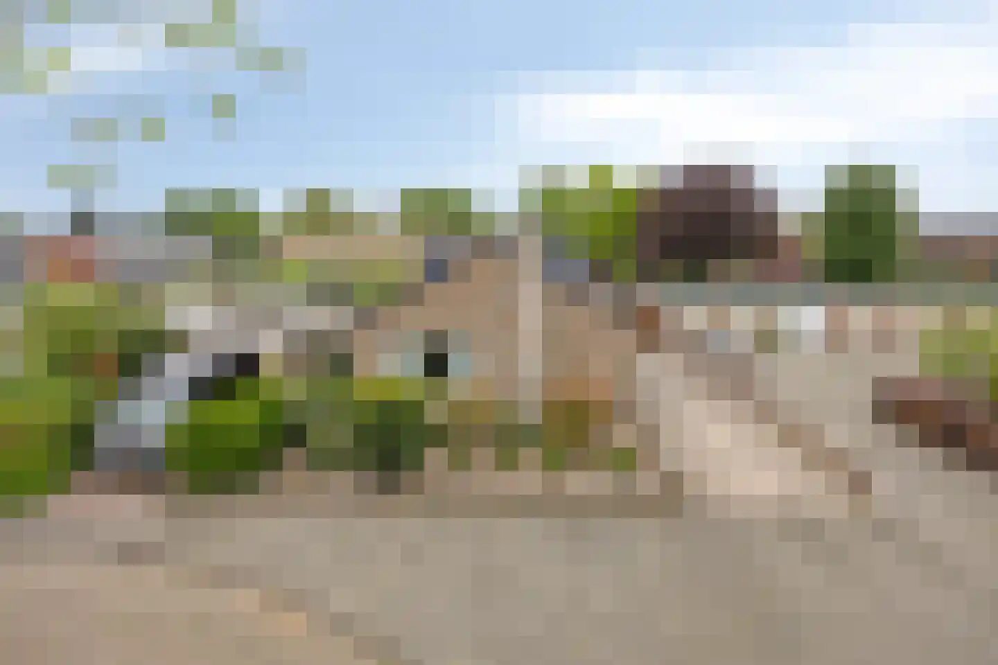 Irisstraat 29 Made thumbnail 5